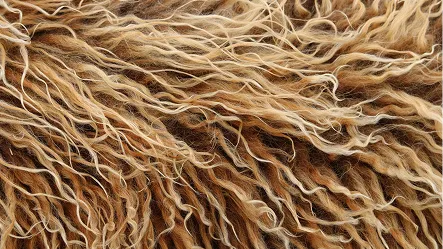 Filament Yarns