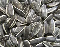 Seeds